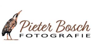 Pieter Bosch fotografie